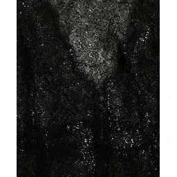 Black Floral Lace Sheer A-line Midi Dress