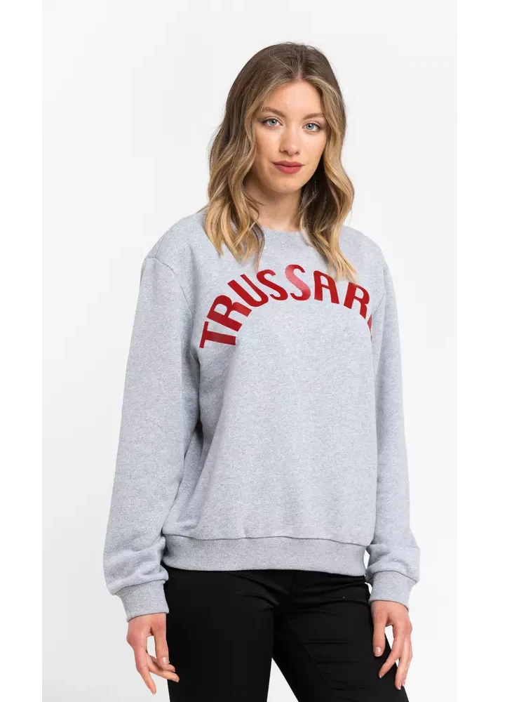 Gray Cotton Sweatshirt alternative