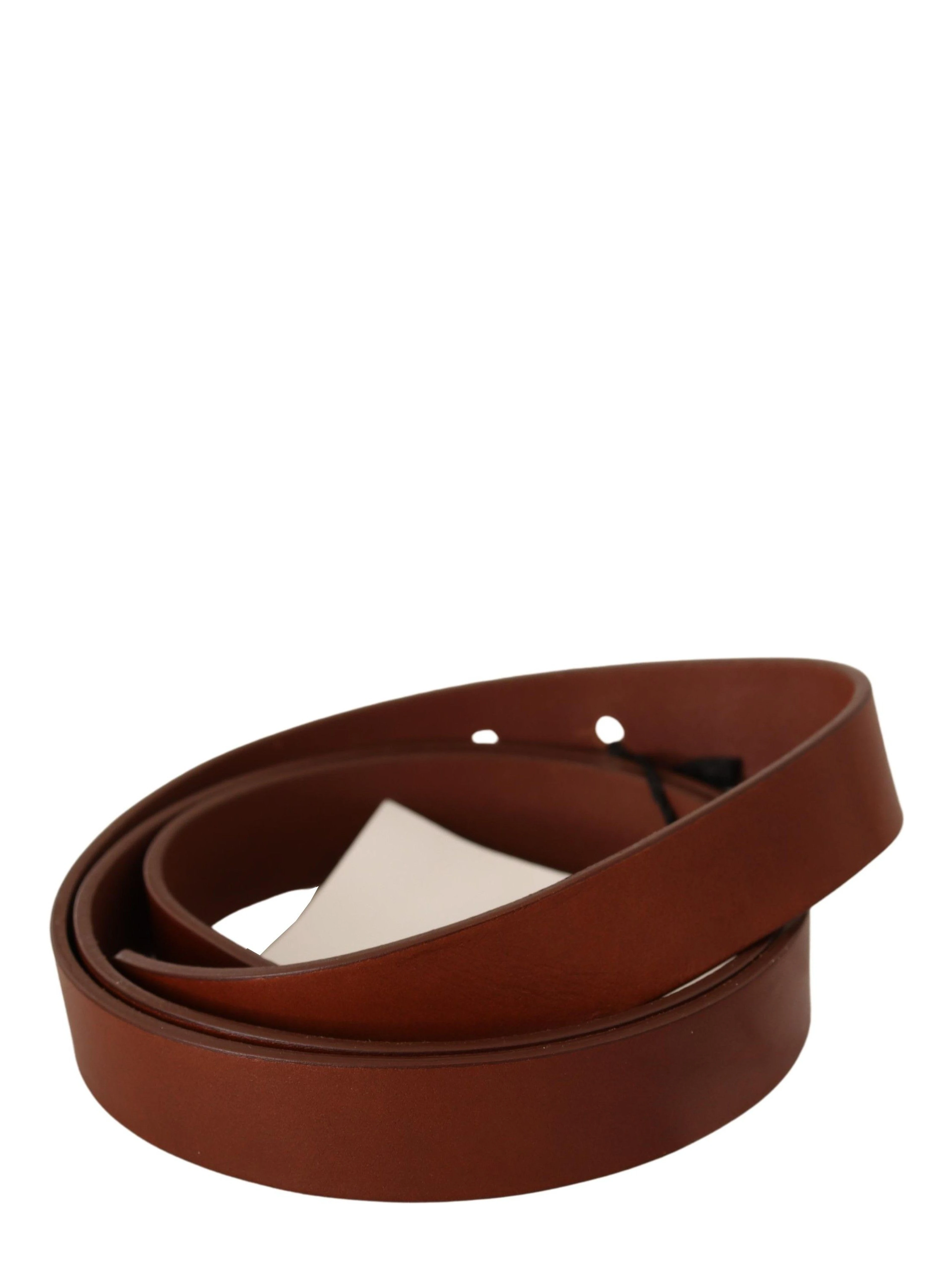 Brown Leather Silver Fastening Belt
