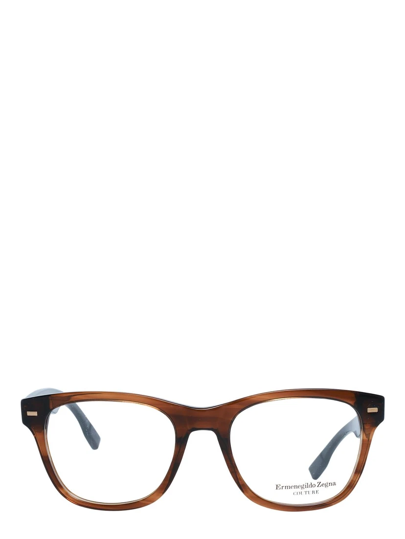 Brown Plastic Glasses (Frames)