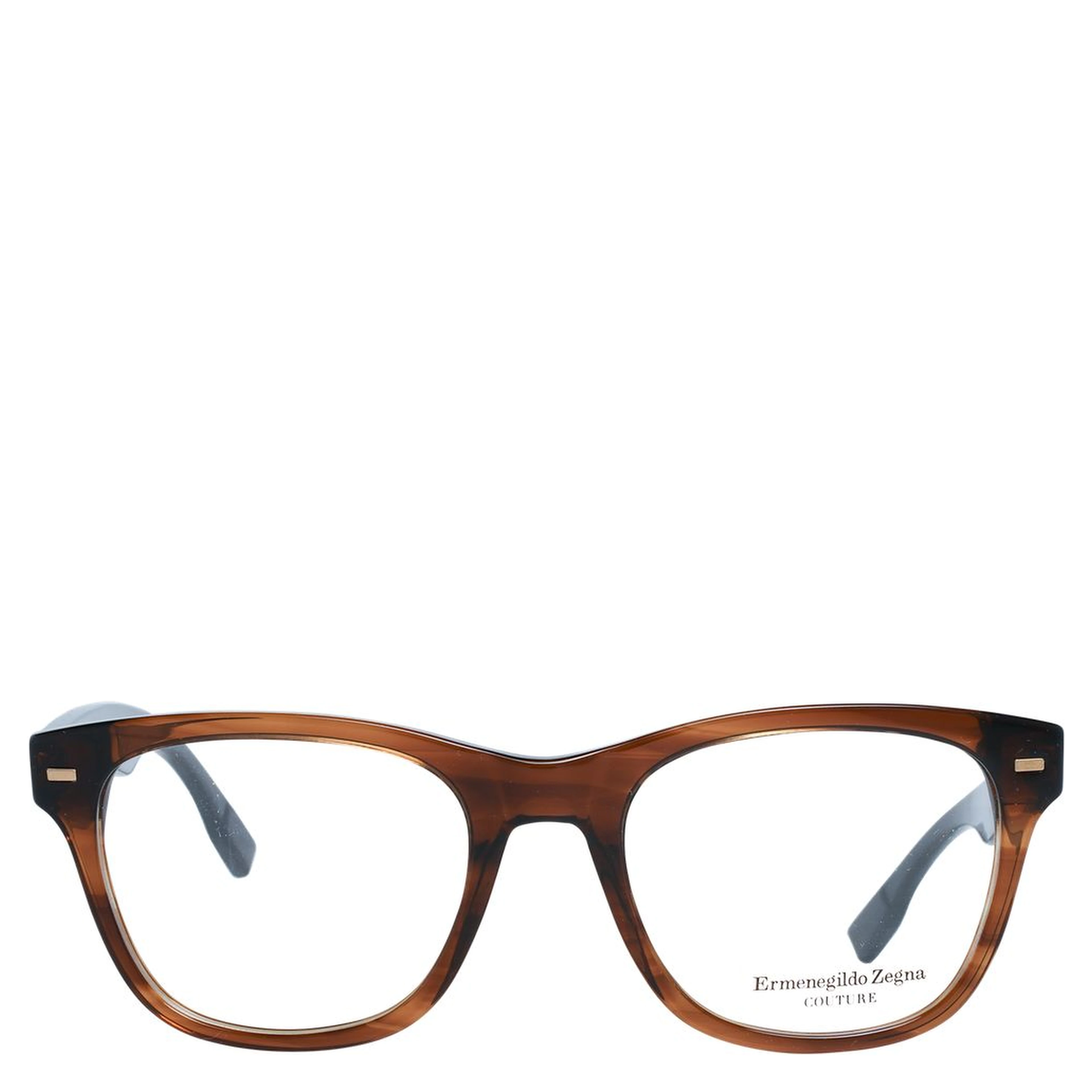 Brown Plastic Glasses (Frames)