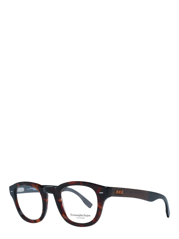 Brown Plastic Glasses (Frames)