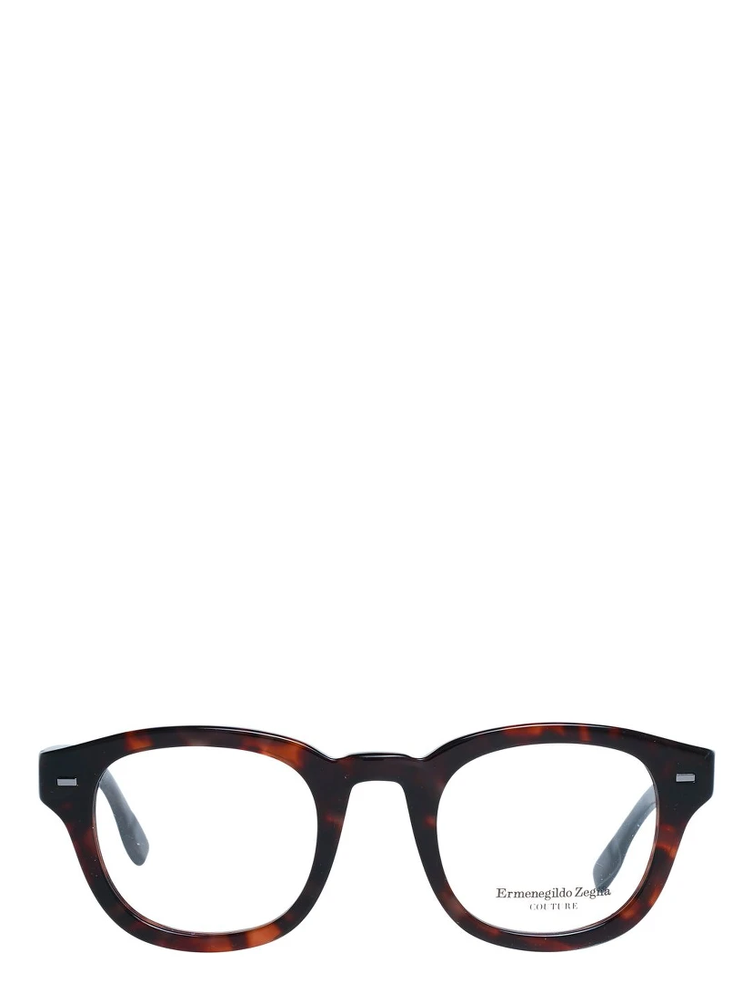 Brown Plastic Glasses (Frames)
