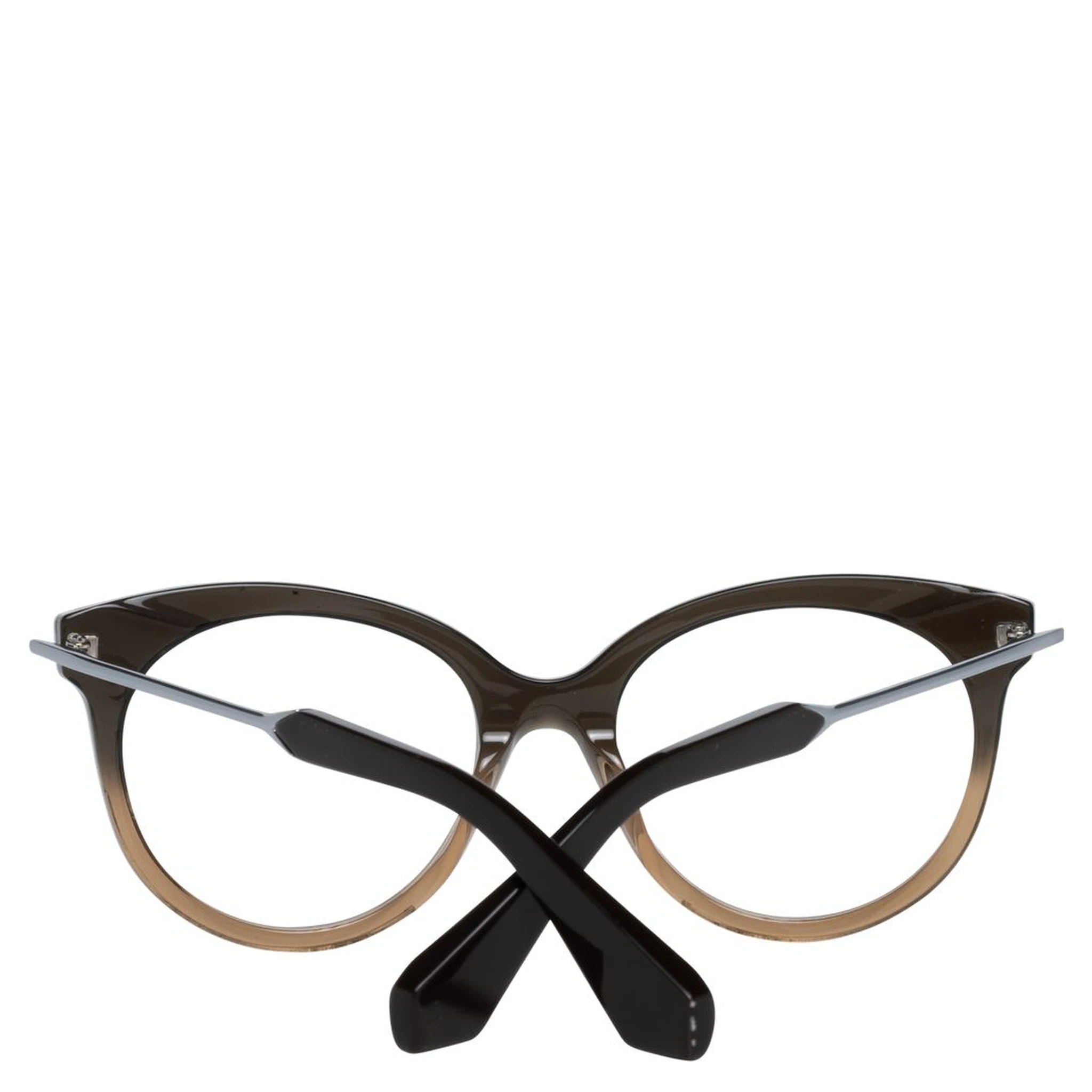 Brown Metal & Plastic Glasses (Frames)