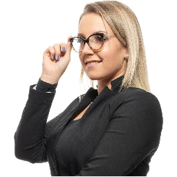 Brown Metal & Plastic Glasses (Frames)