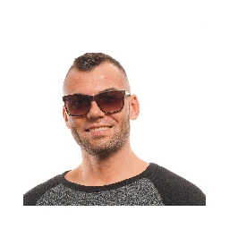 Brown Plastic Sunglasses