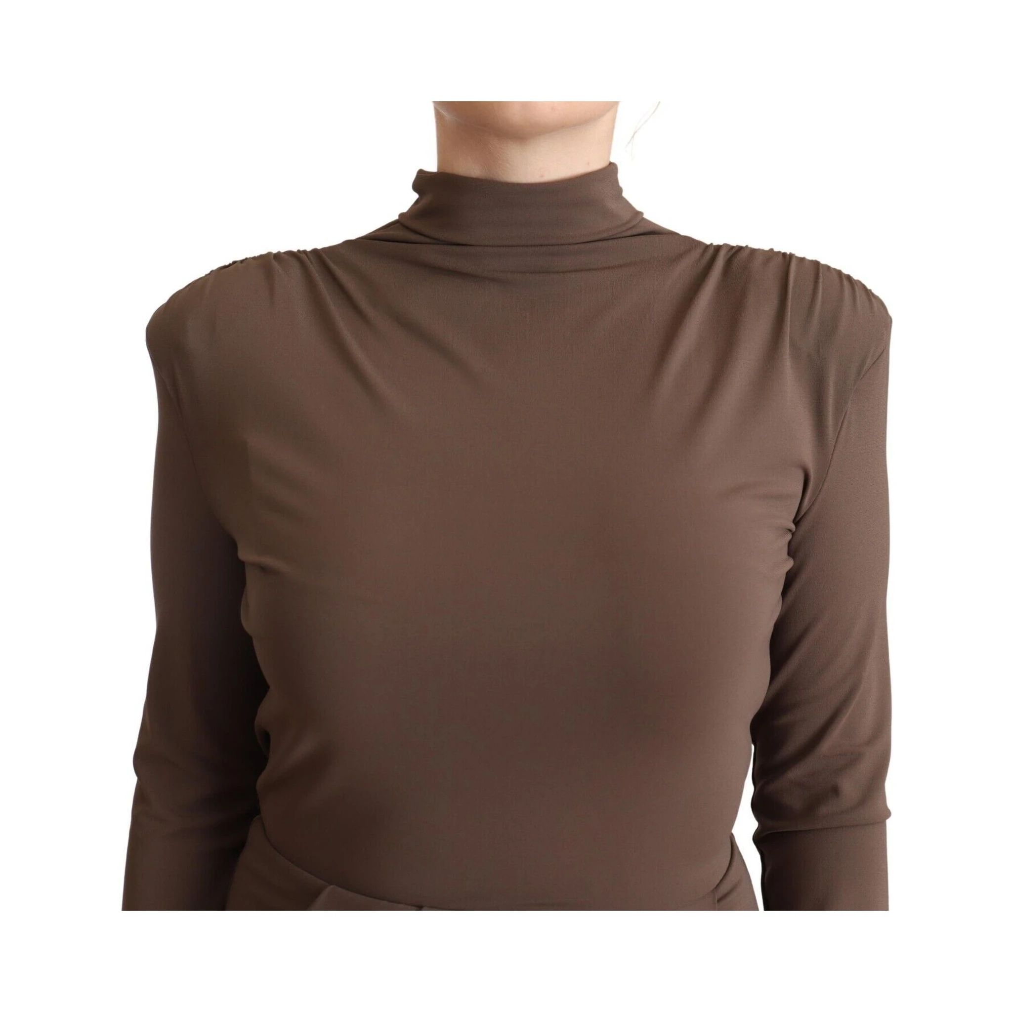 Brown Acetate Long Sleeves Turtle Neck Sheath Dress