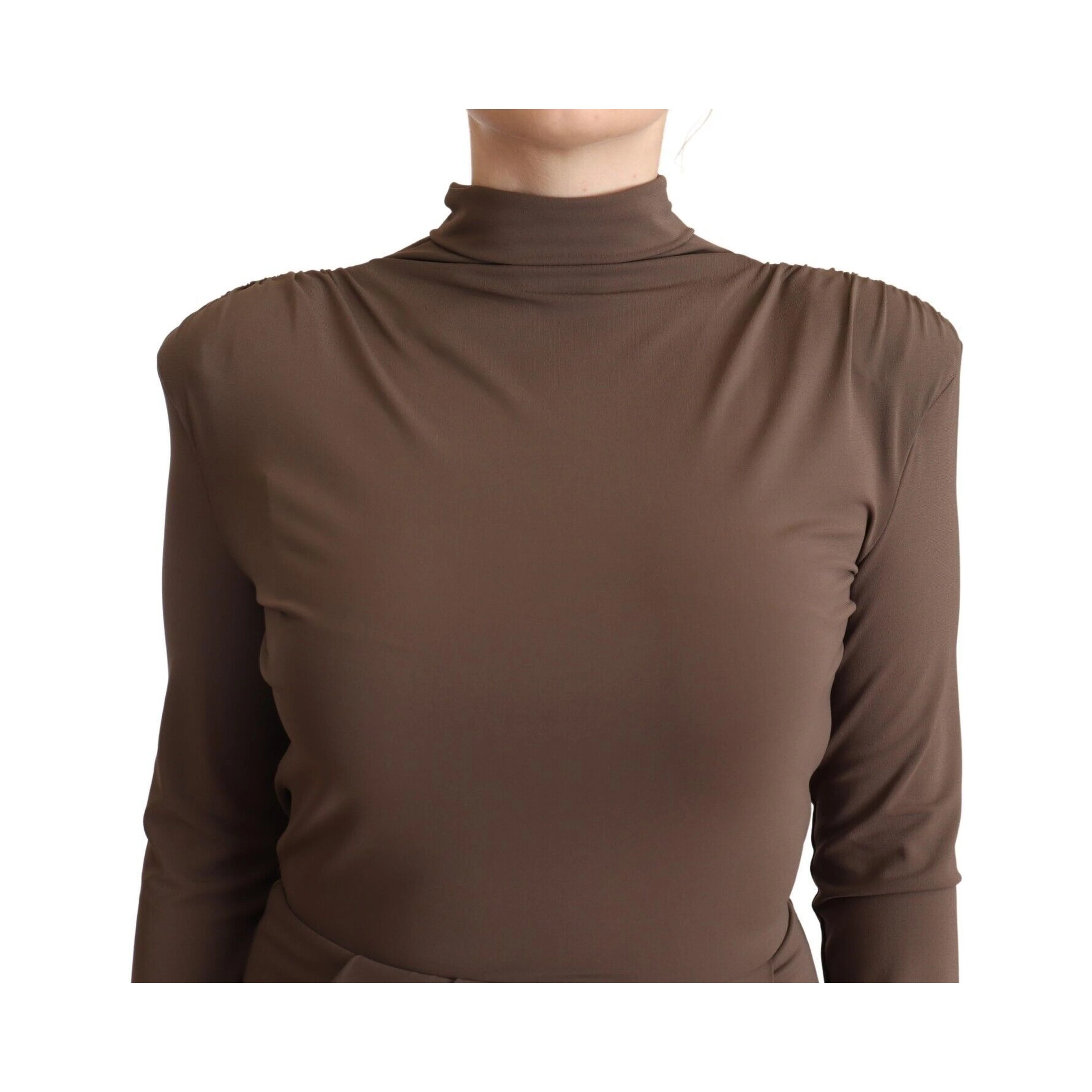 Brown Acetate Long Sleeves Turtle Neck Sheath Dress