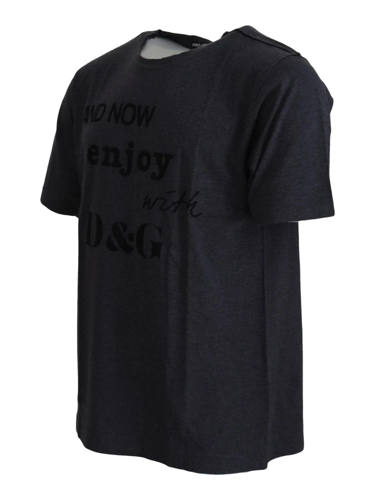 Gray Crewneck Cotton Short Sleeve  T-shirt alternative