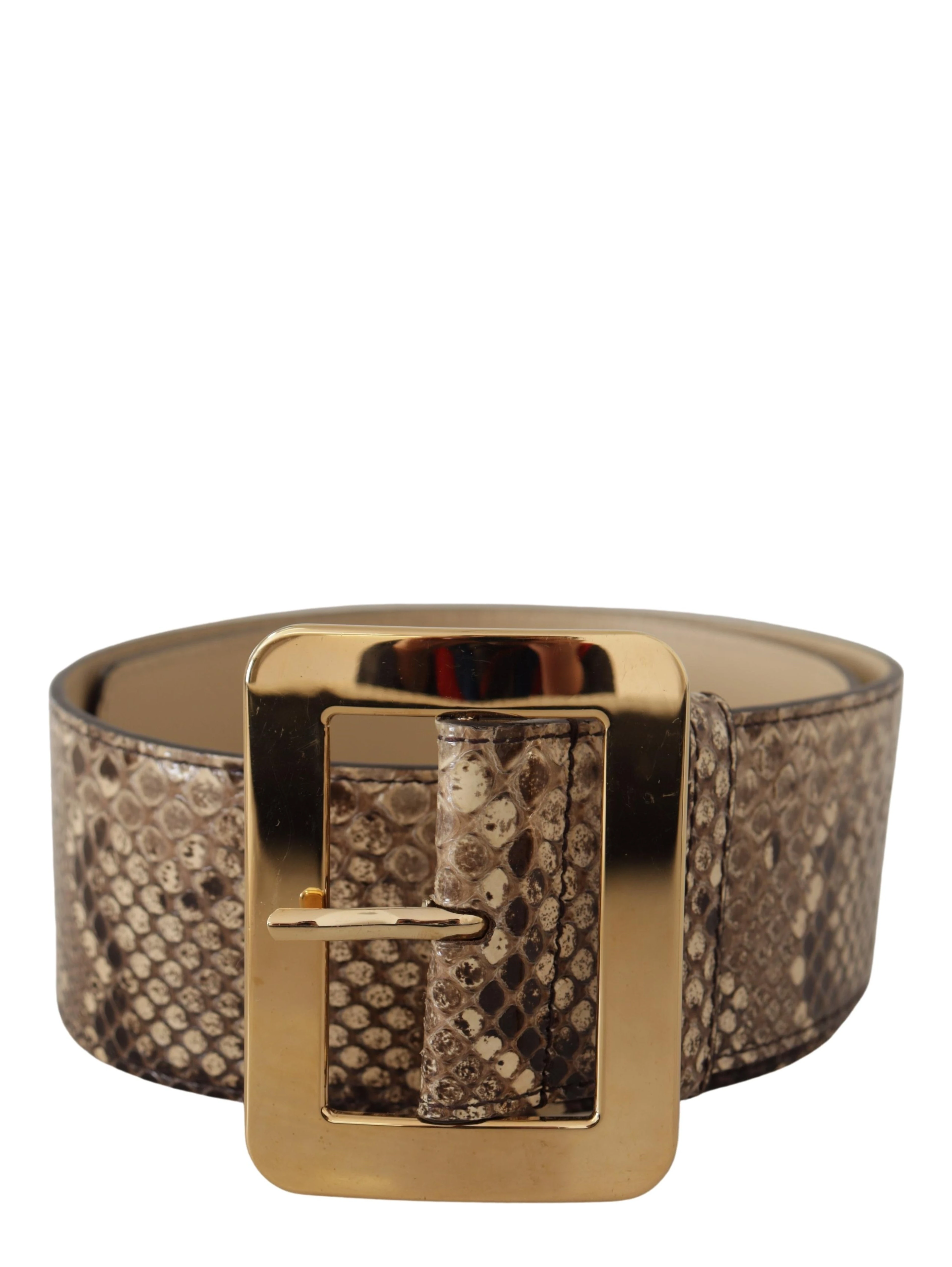 Brown Exotic Wide Waist Leather Gold Metal Buckle Belt