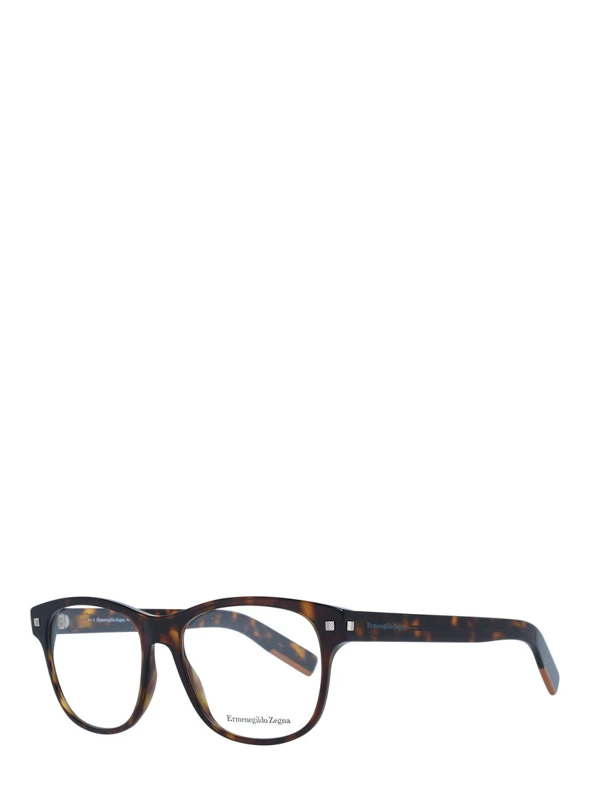 Brown Plastic Glasses (Frames)