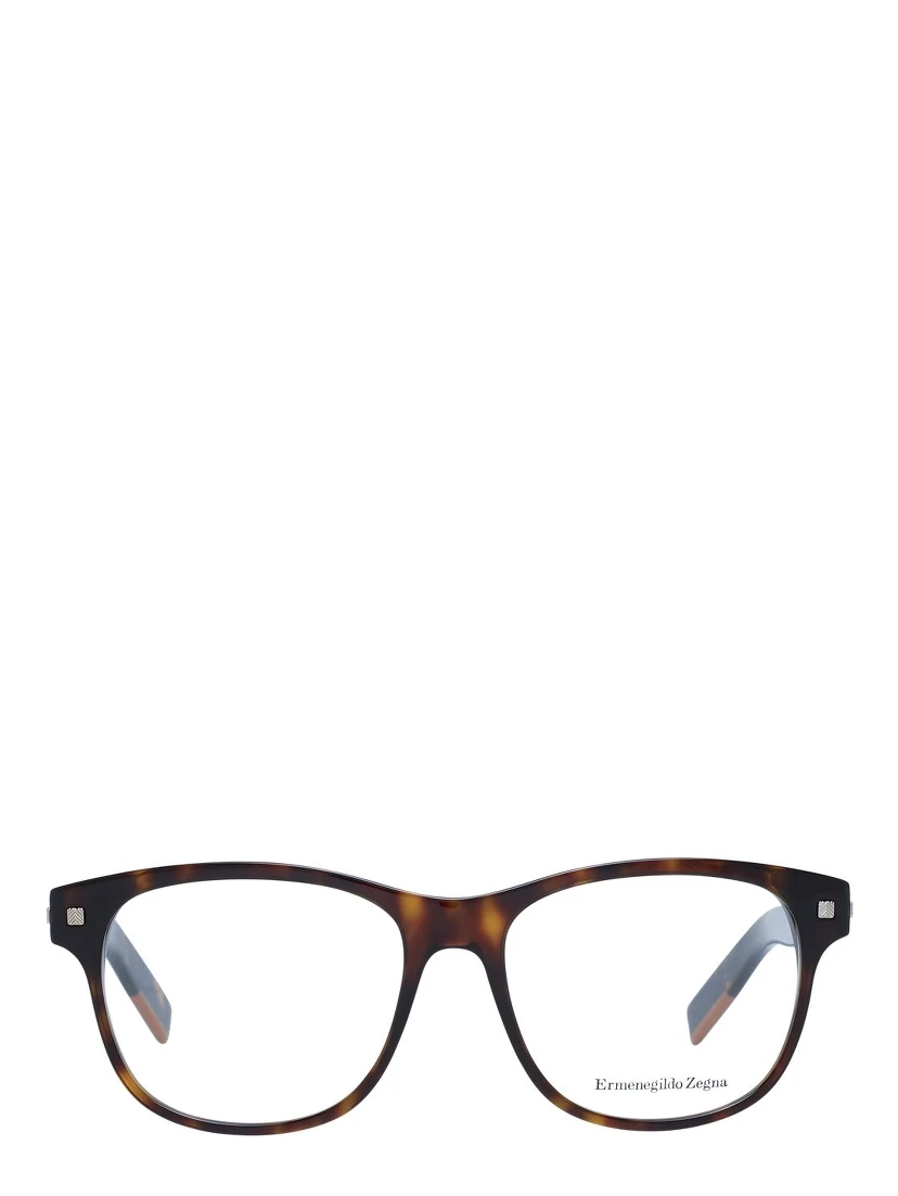 Brown Plastic Glasses (Frames)