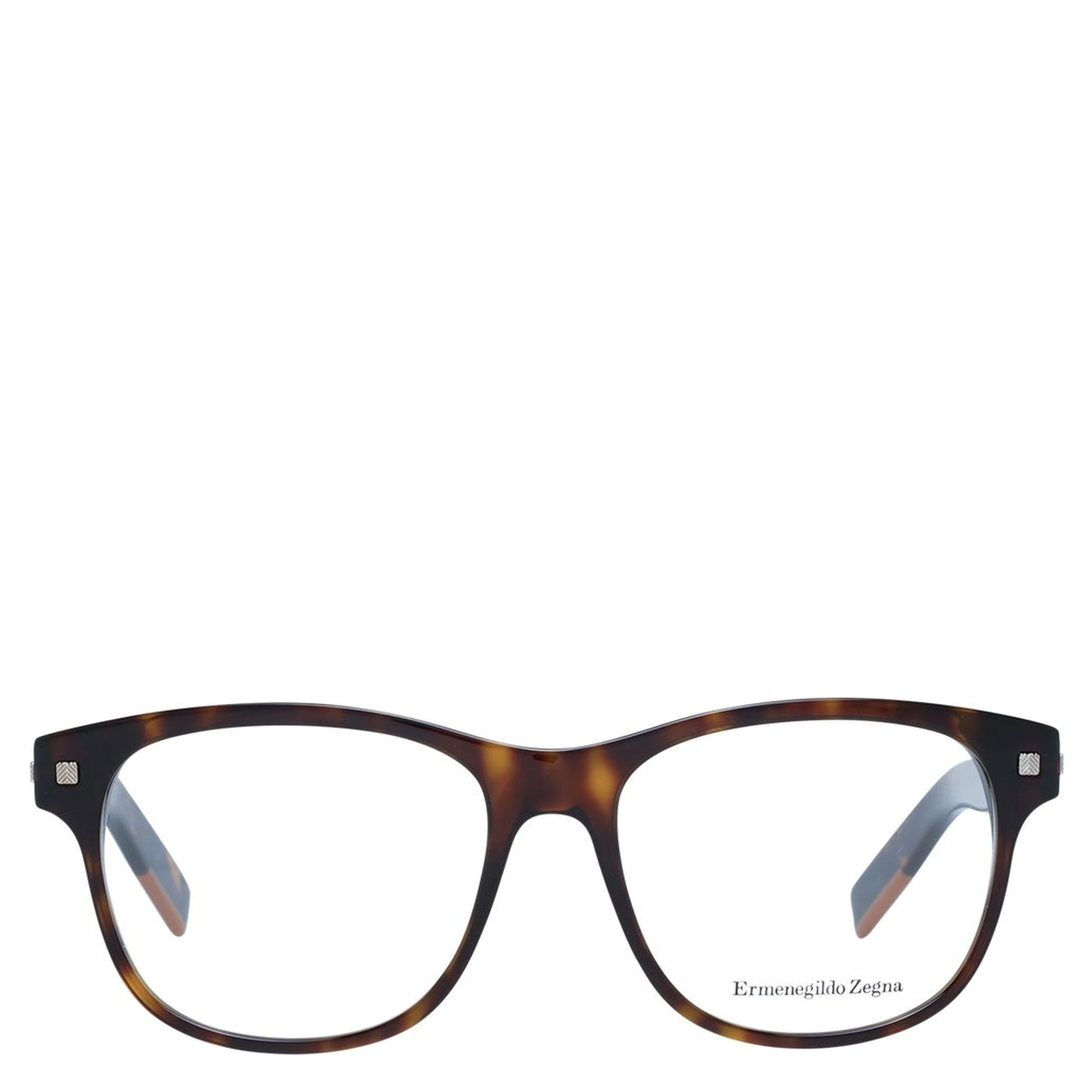 Brown Plastic Glasses (Frames)