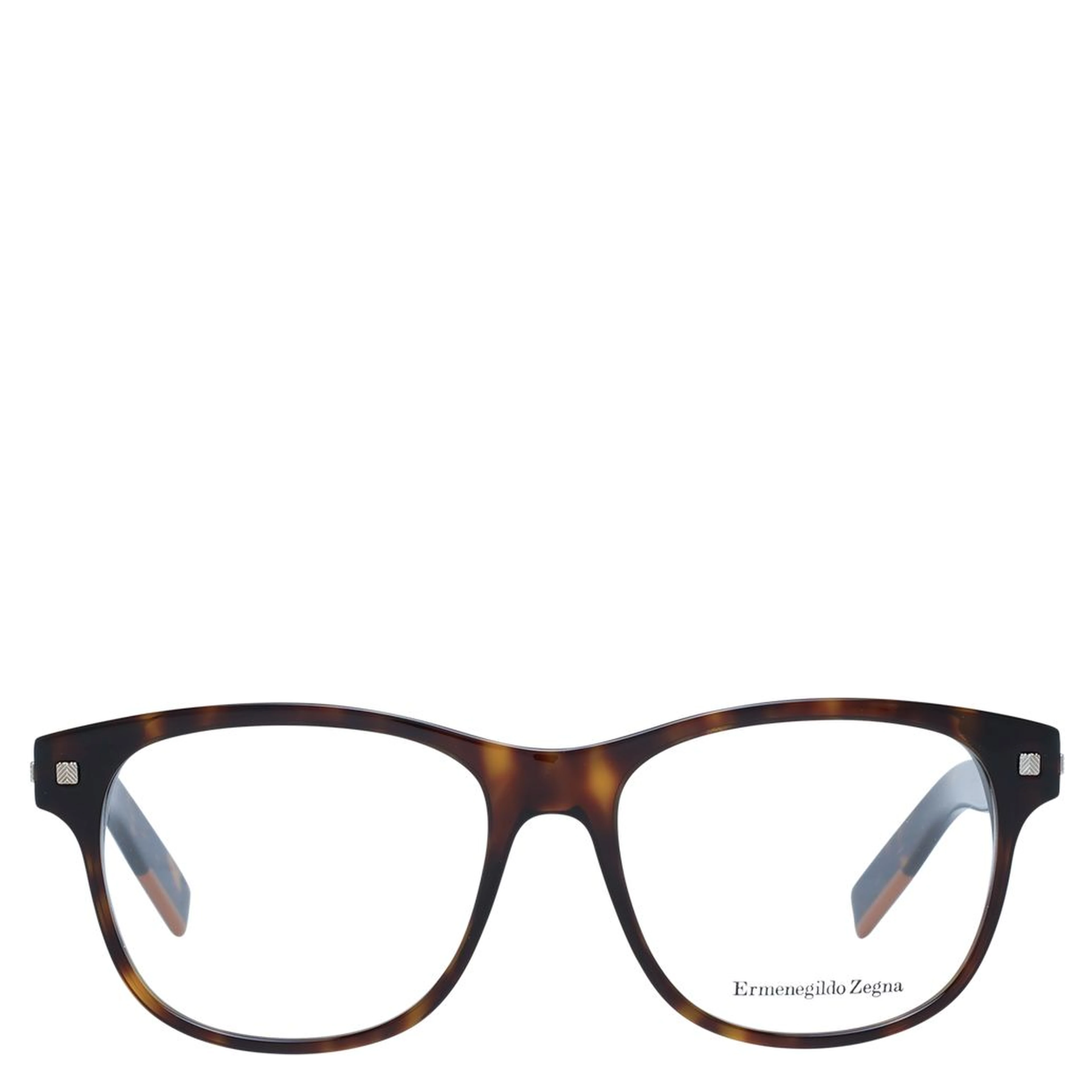 Brown Plastic Glasses (Frames)