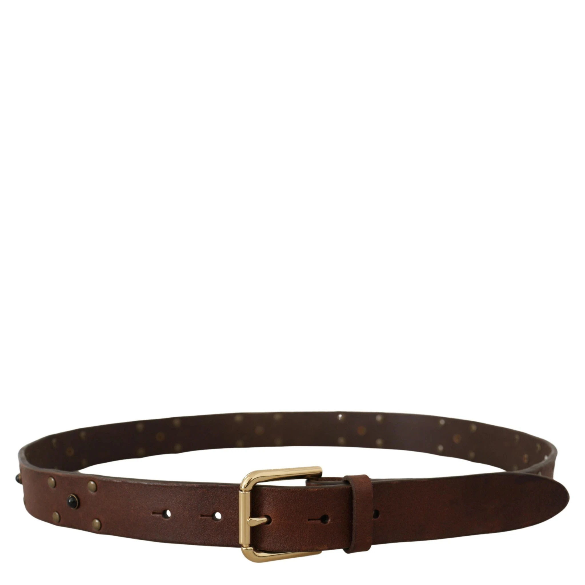 Brown Leather Studded Gold Tone Metal Buckle Belt