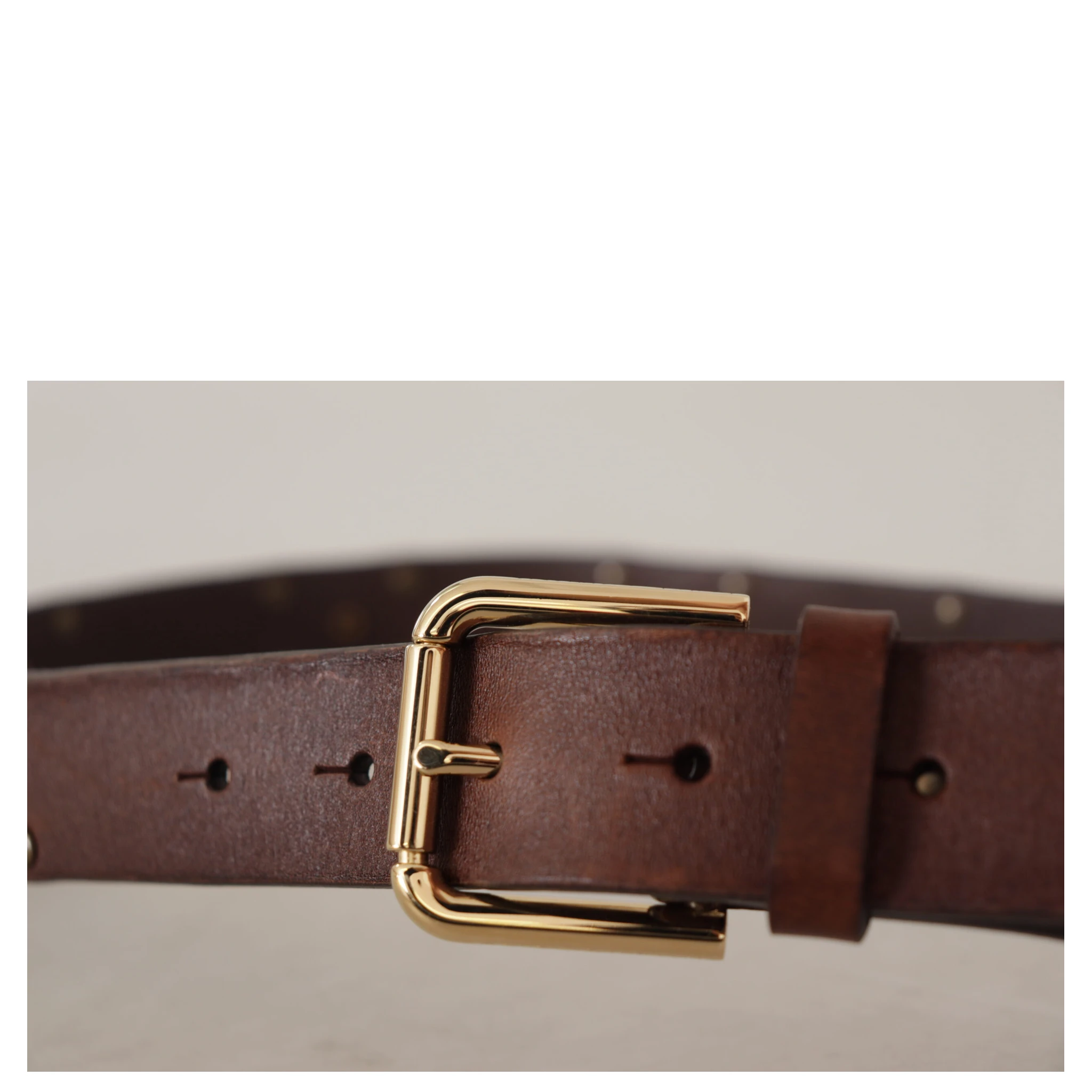Brown Leather Studded Gold Tone Metal Buckle Belt