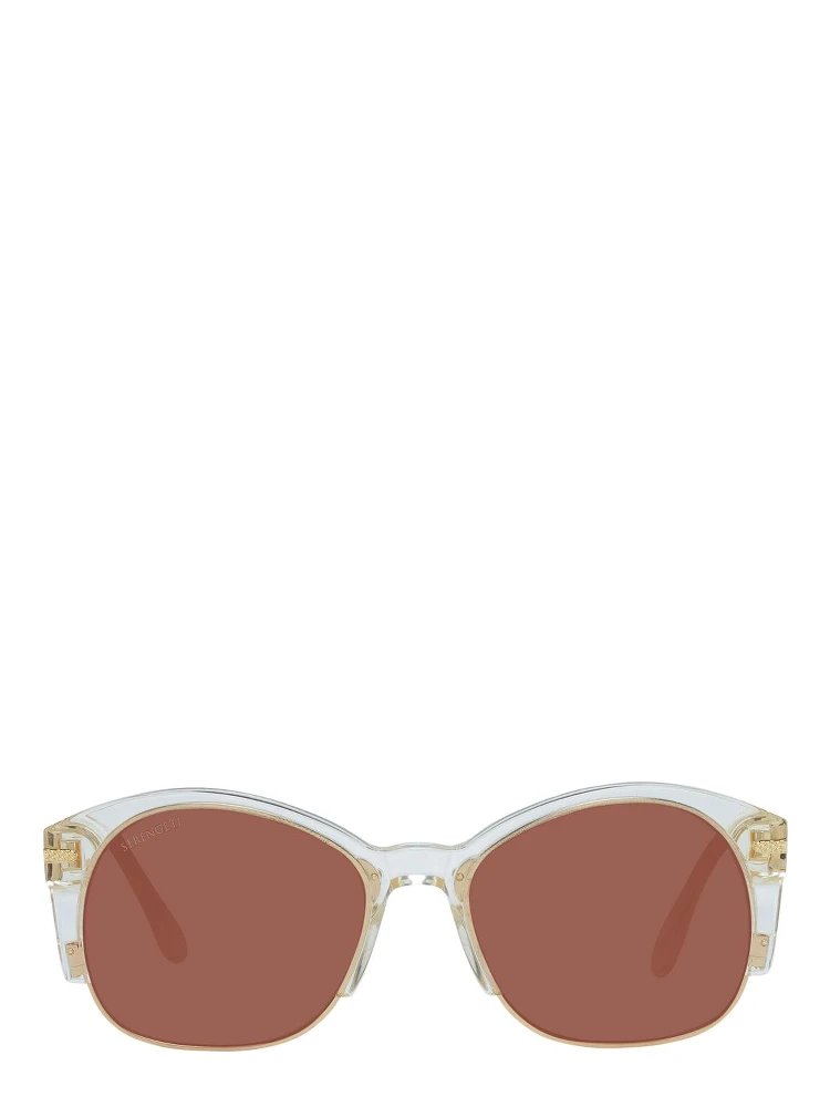 Gold Acetate & Metal Sunglasses alternative