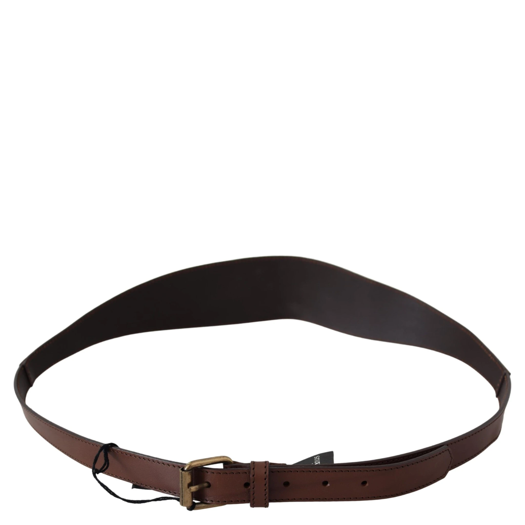 Brown Leather Gold Metal Buckle Belt