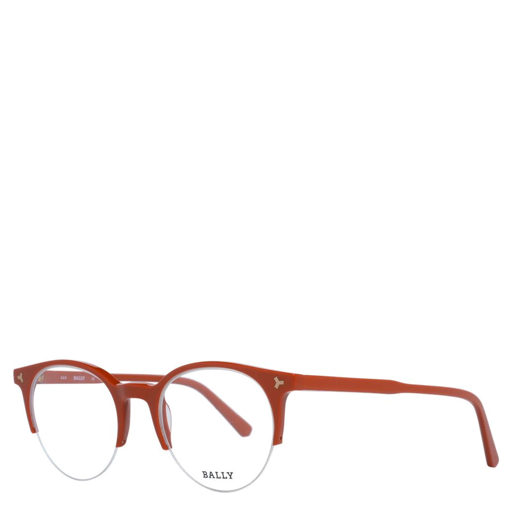 Brown Plastic Glasses (Frames)
