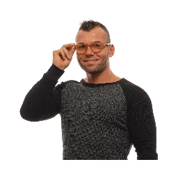 Brown Plastic Glasses (Frames)