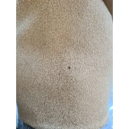 Beige Camel Skin Cashmere Shearling Overcoat Jacket