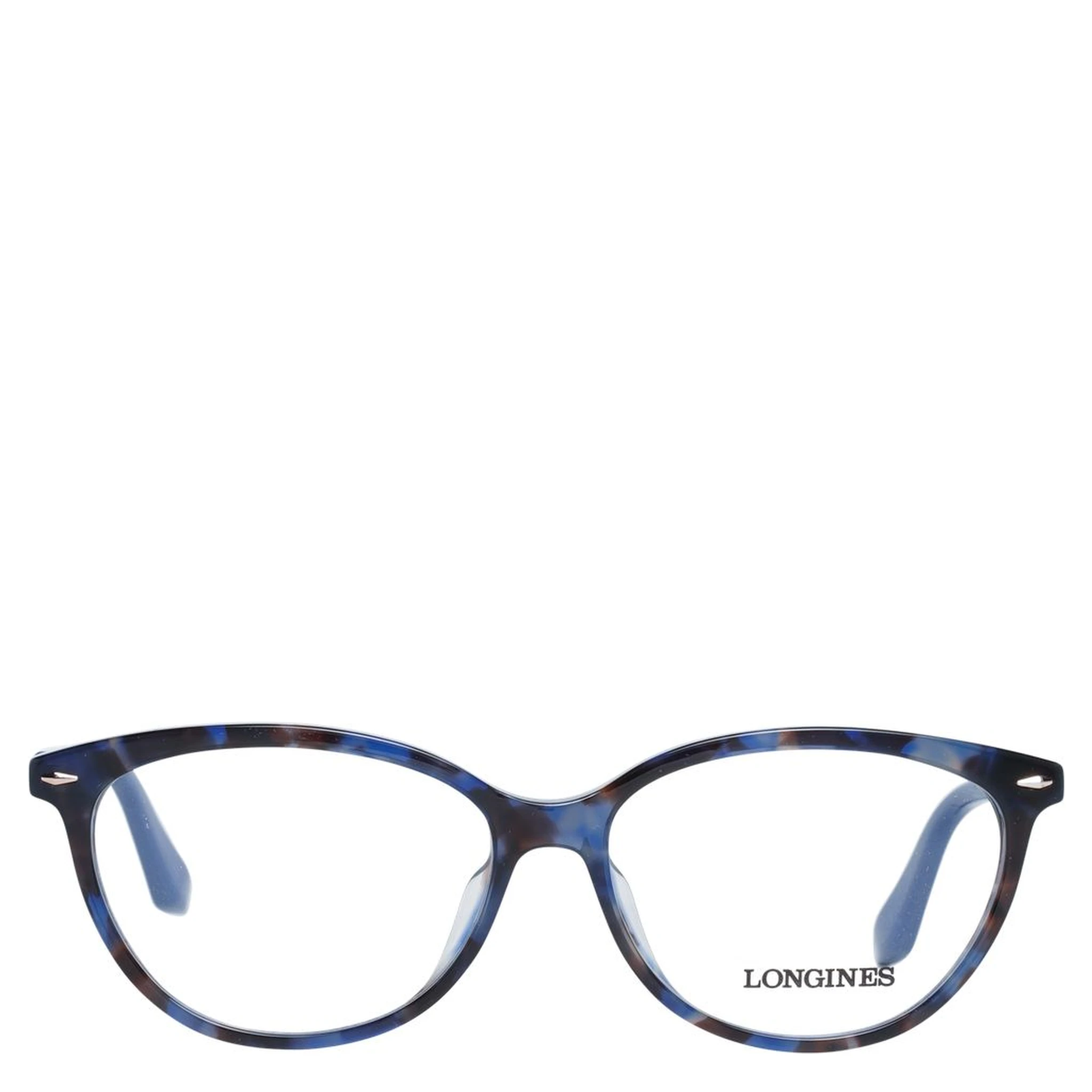 Blue Plastic Glasses (Frames)