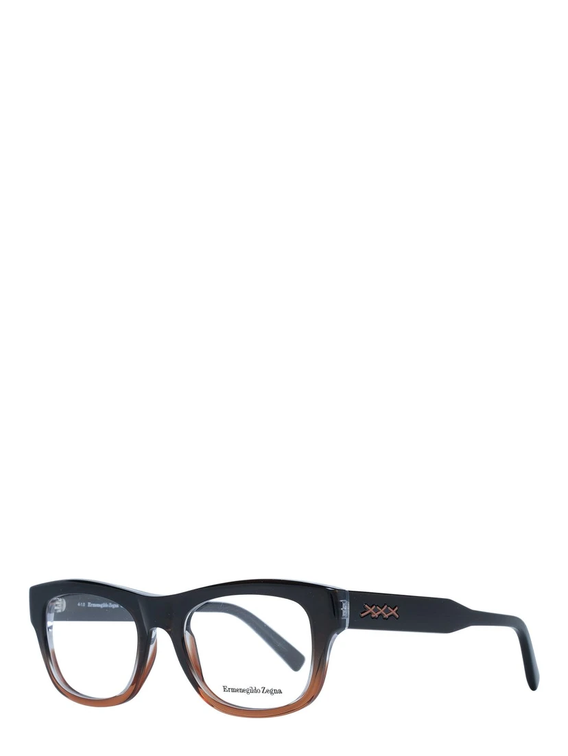Brown Plastic Glasses (Frames)