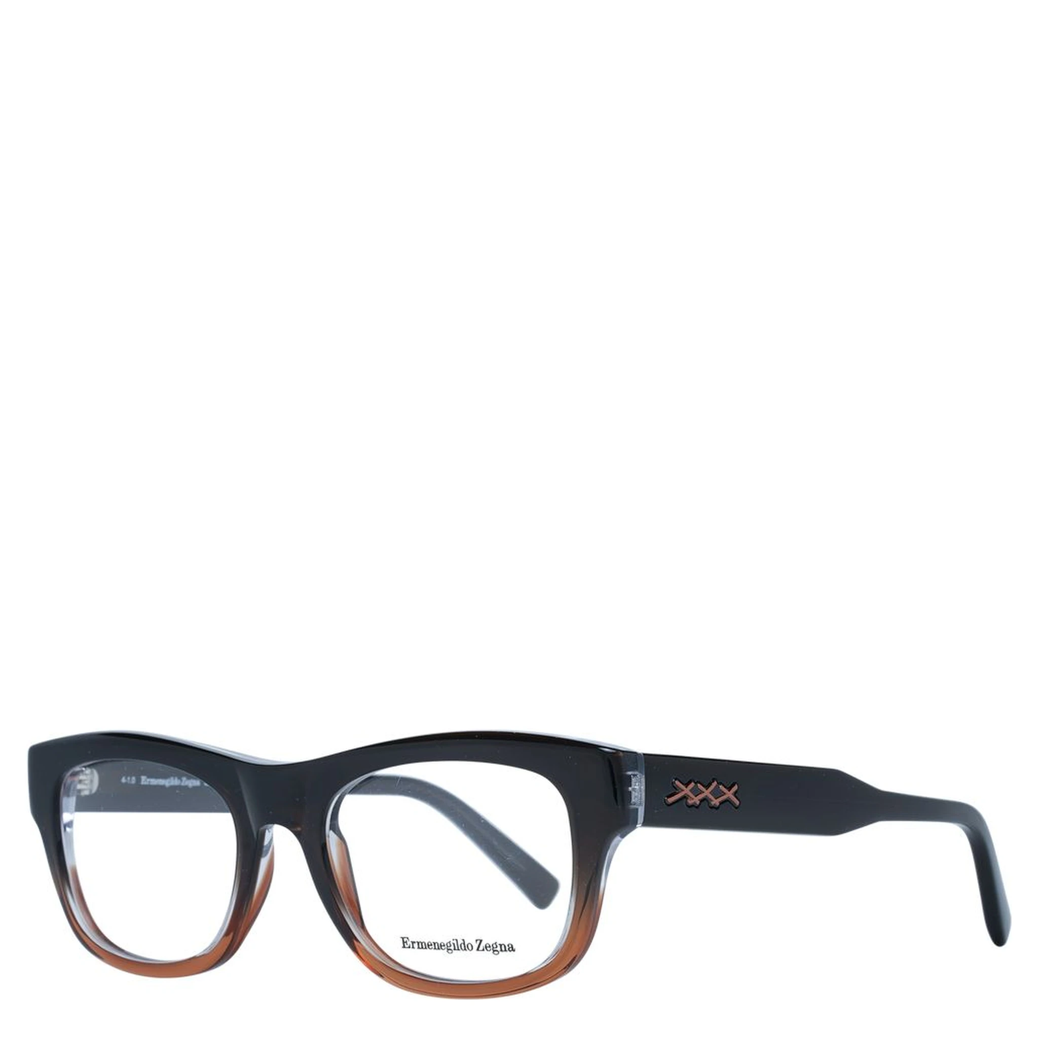 Brown Plastic Glasses (Frames)