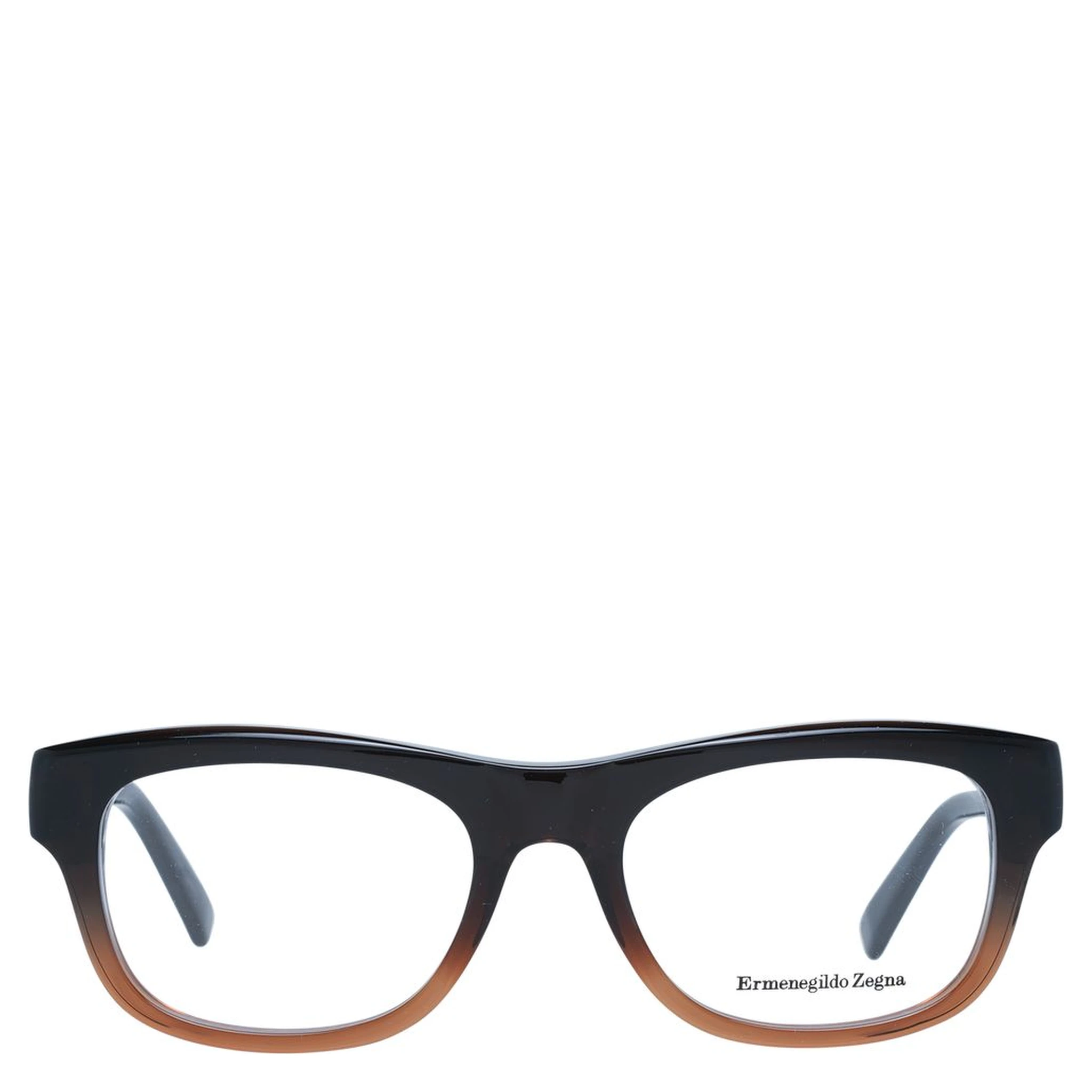 Brown Plastic Glasses (Frames)