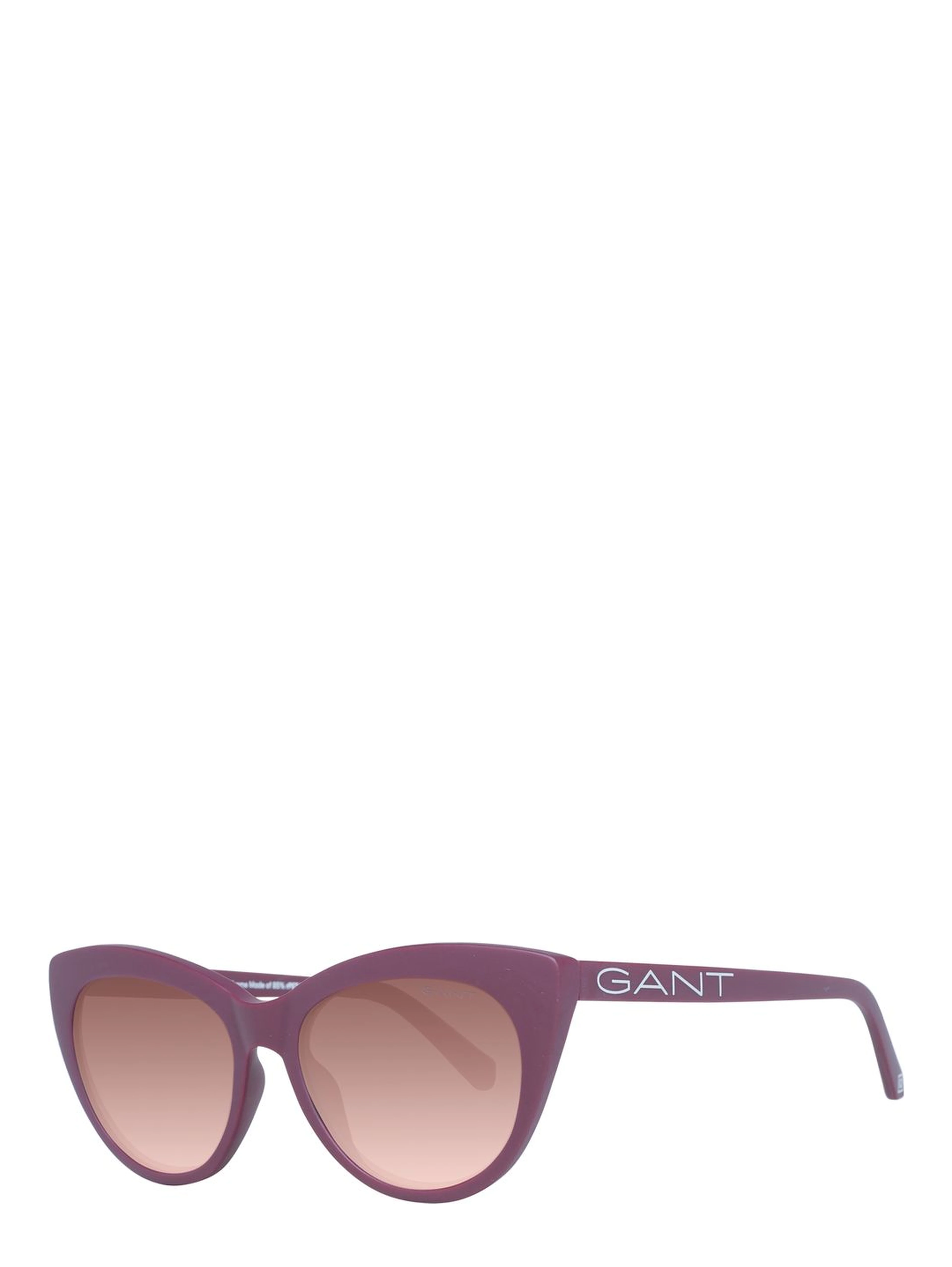 Purple Plastic Sunglasses