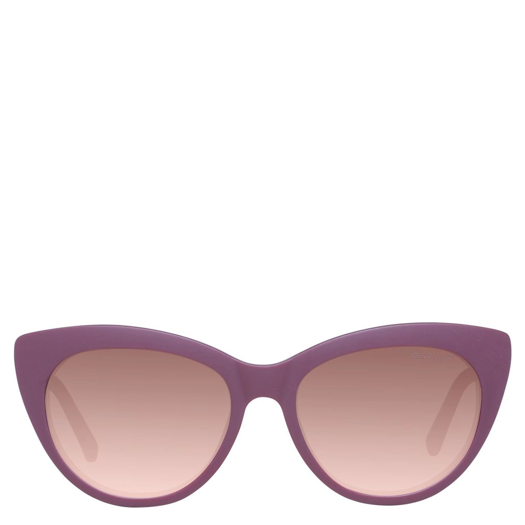 Purple Plastic Sunglasses