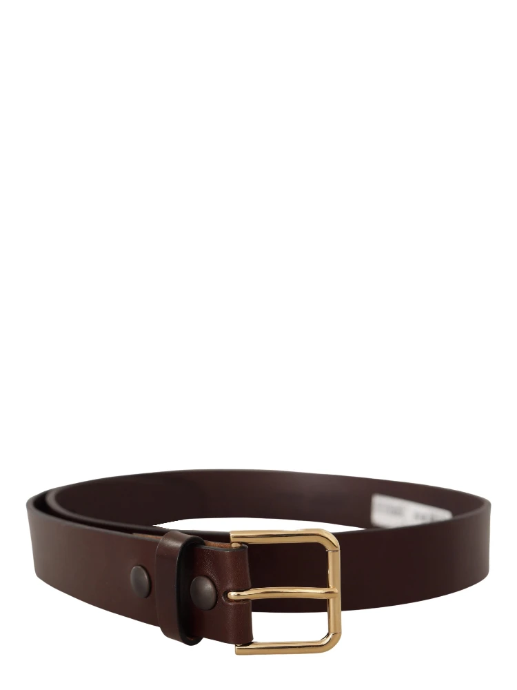 Brown Polished Leather Gold Tone Metal Buckle Belt