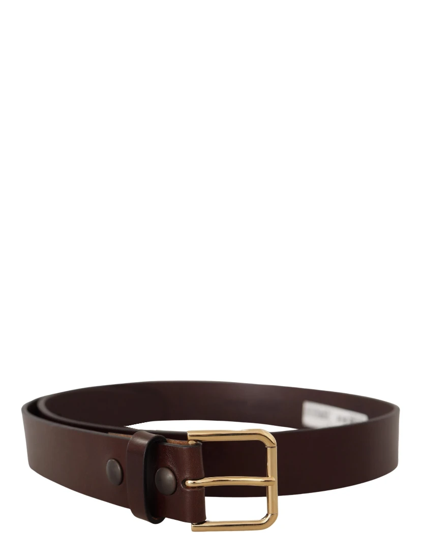 Brown Polished Leather Gold Tone Metal Buckle Belt