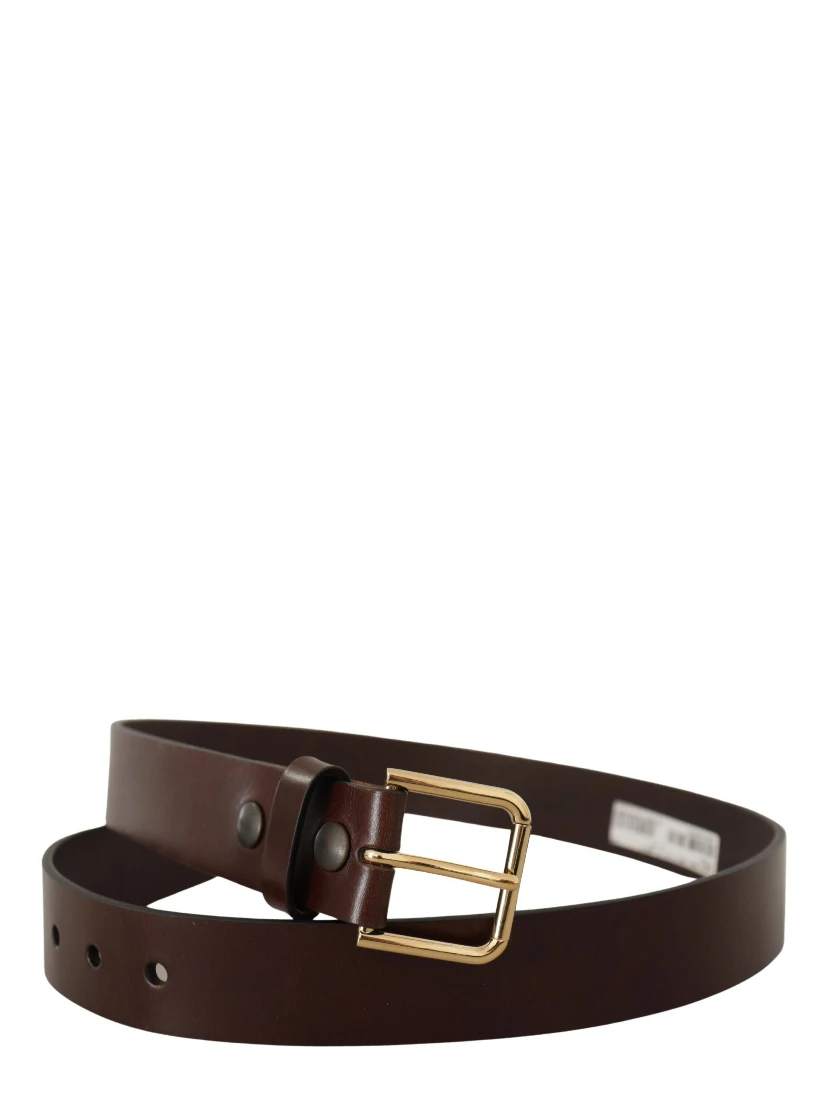 Brown Polished Leather Gold Tone Metal Buckle Belt