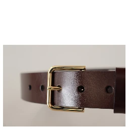 Brown Polished Leather Gold Tone Metal Buckle Belt