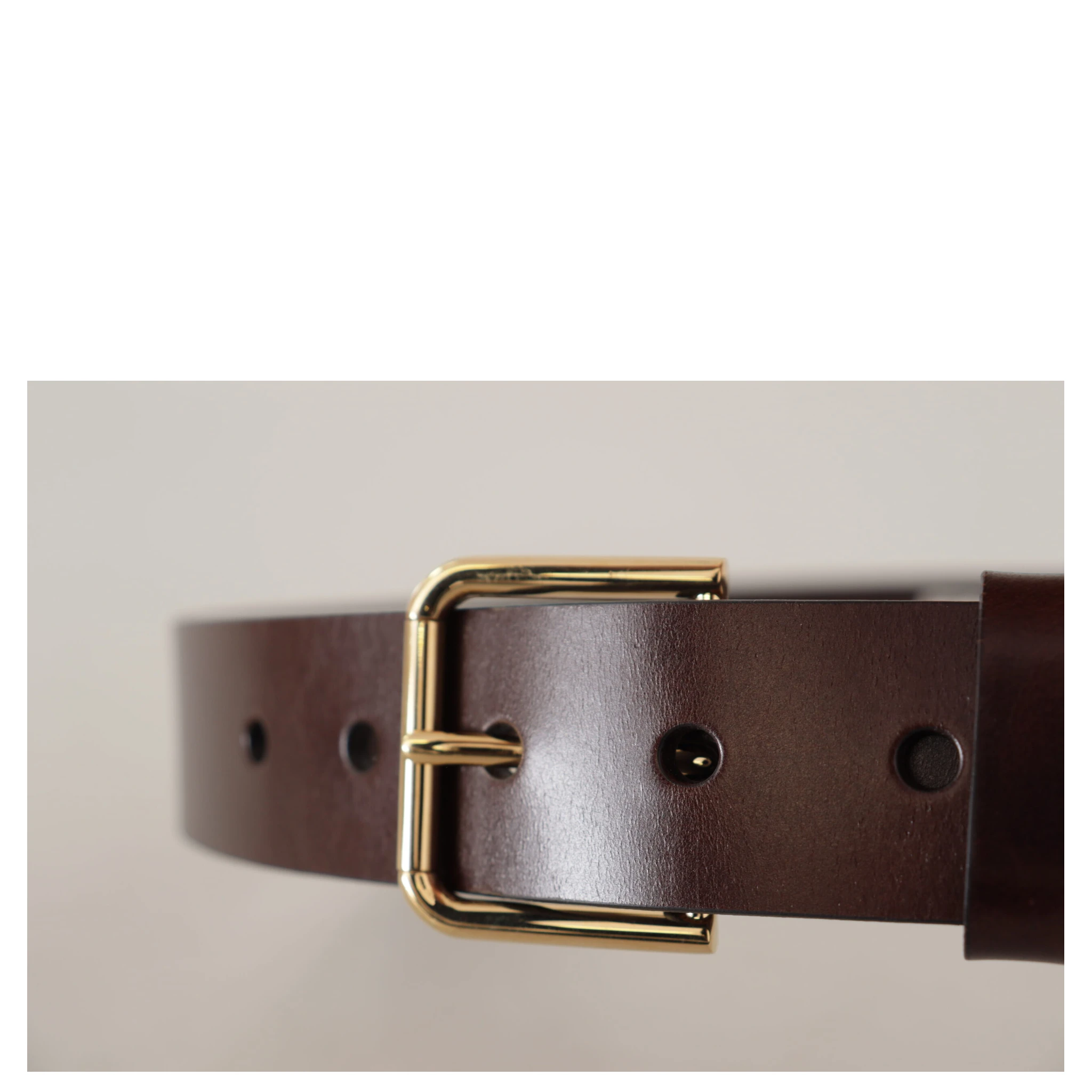 Brown Polished Leather Gold Tone Metal Buckle Belt