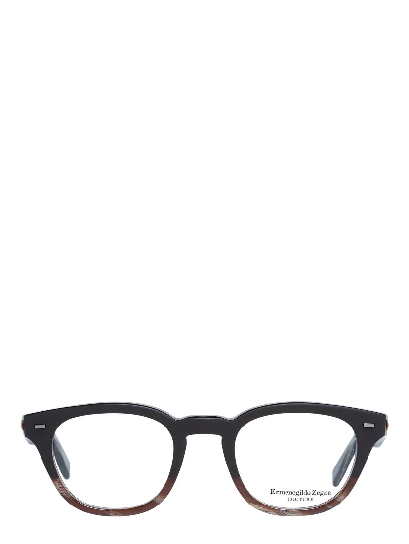 Brown Plastic Glasses (Frames)