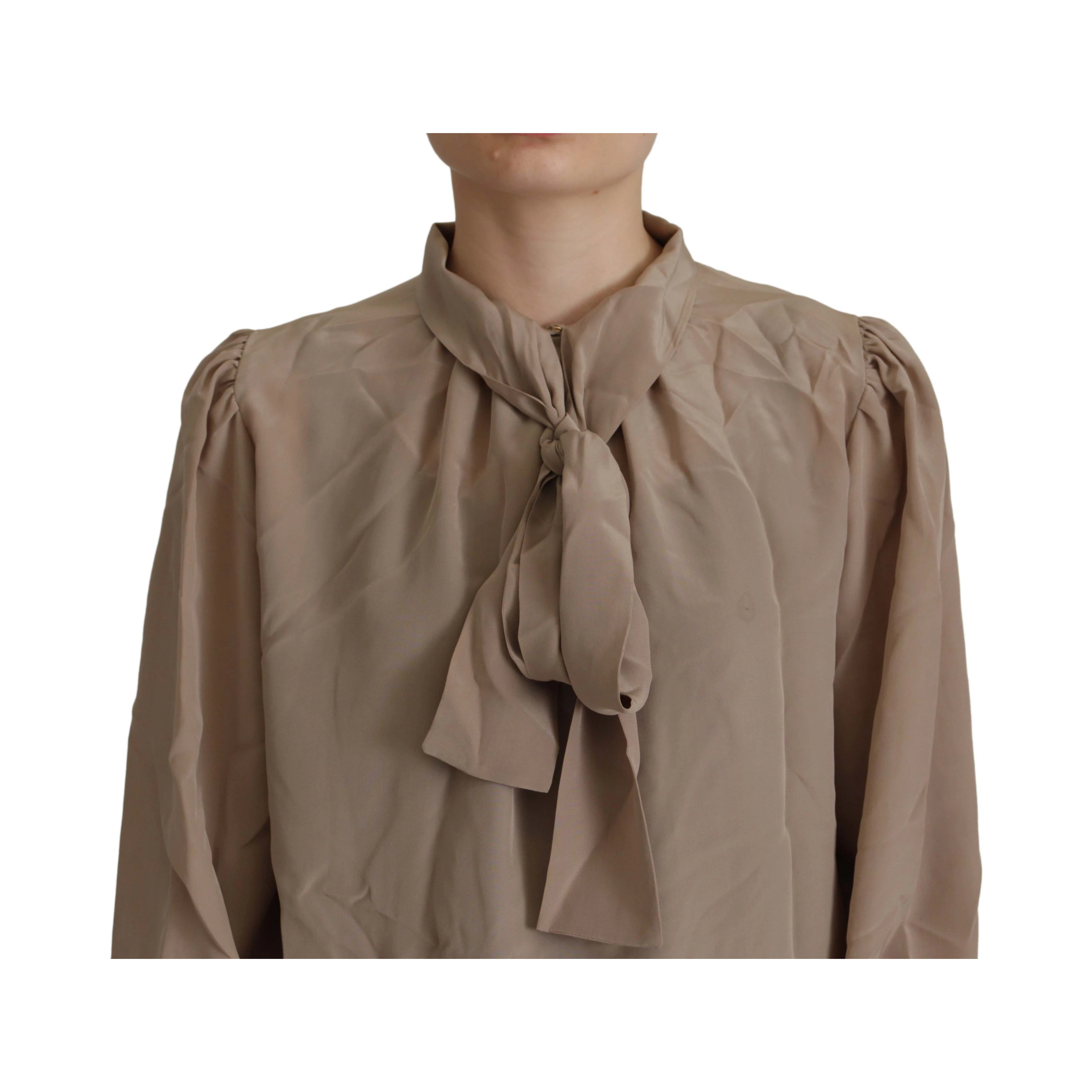 Brown Waistband Sleeves Ascot Collar Top Blouse