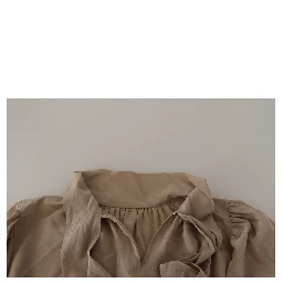 Brown Waistband Sleeves Ascot Collar Top Blouse