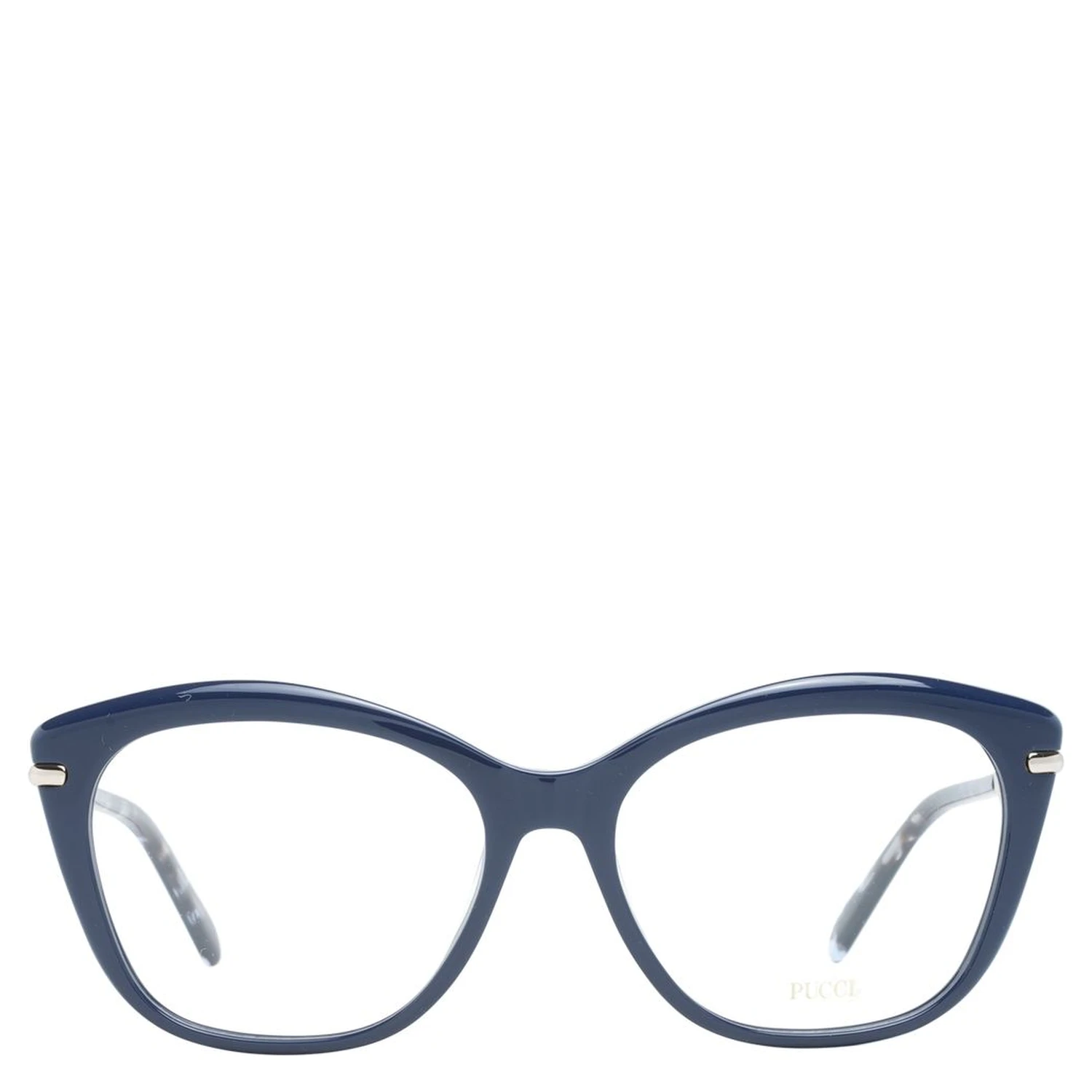 Blue Plastic Glasses (Frames)