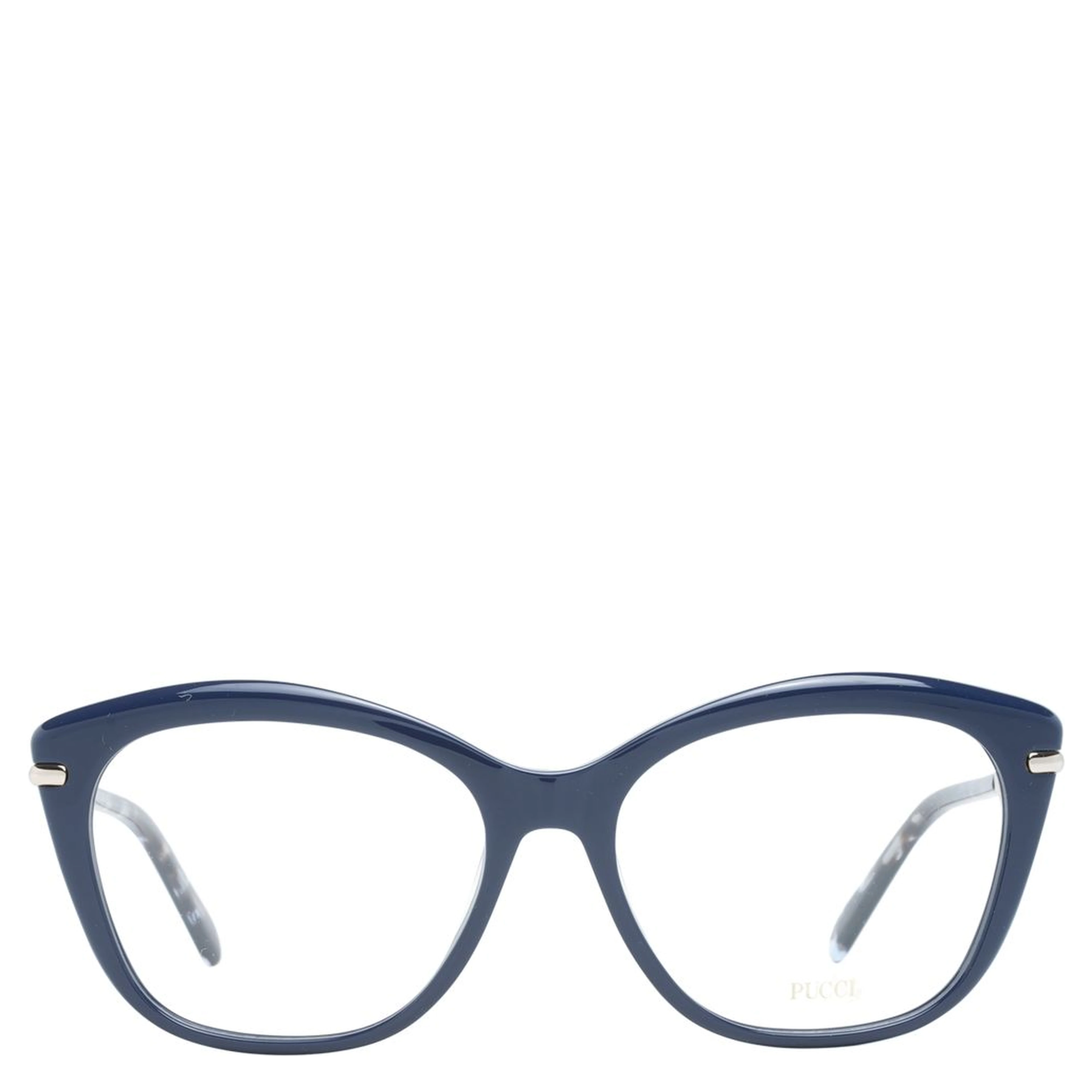 Blue Plastic Glasses (Frames)