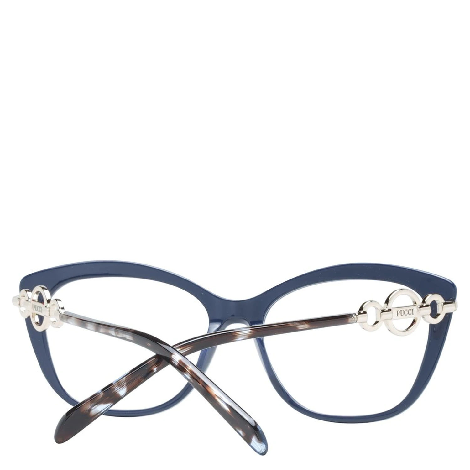Blue Plastic Glasses (Frames)