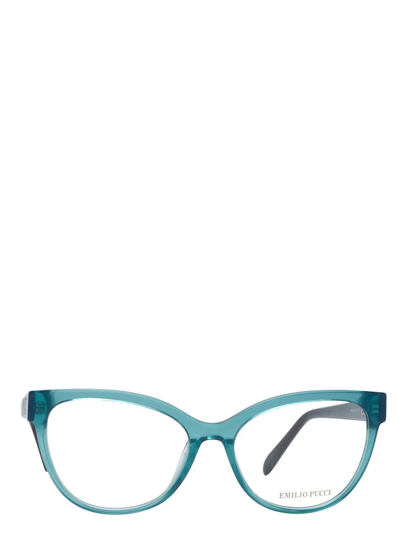 Green Plastic Glasses (Frames)