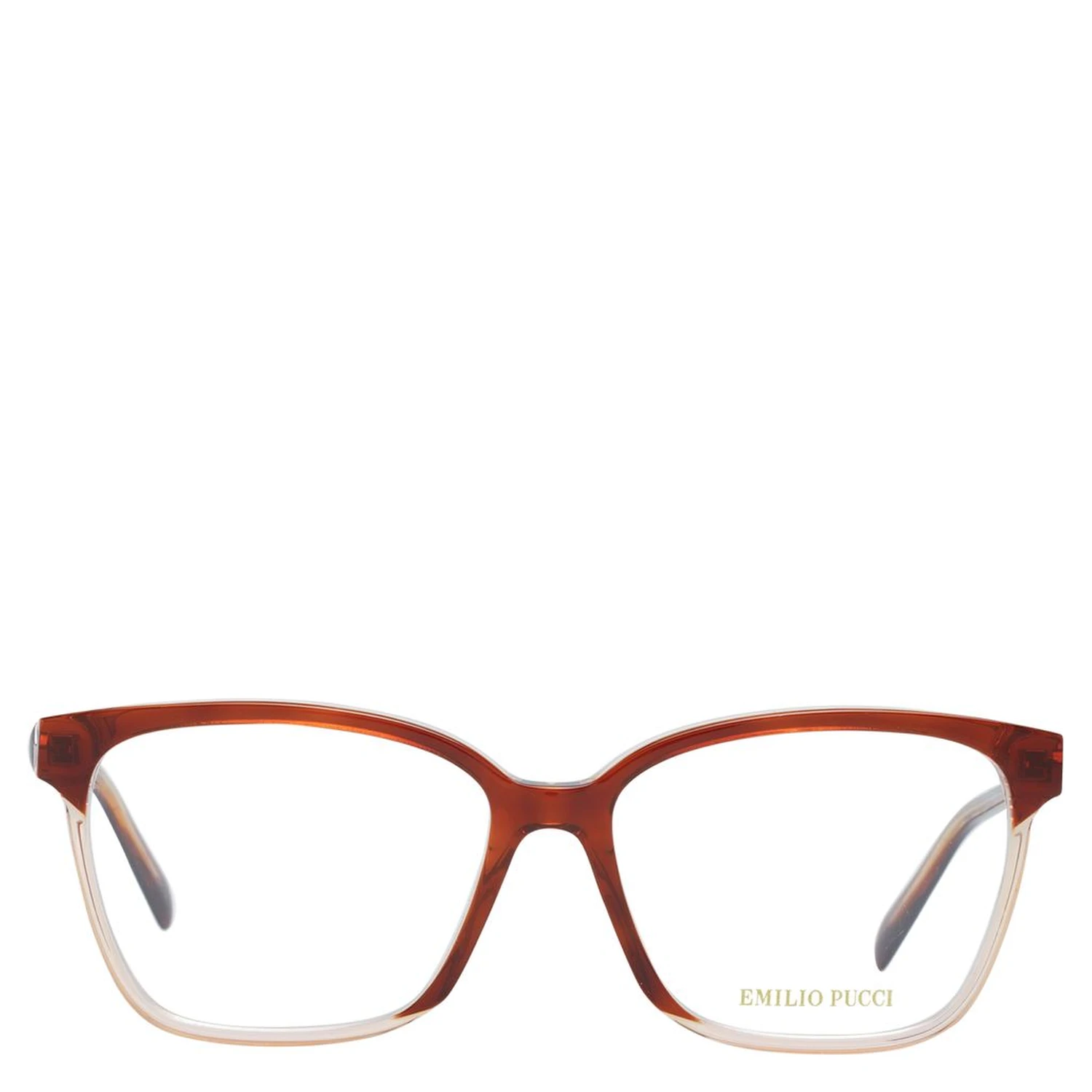 Brown Plastic Glasses (Frames)