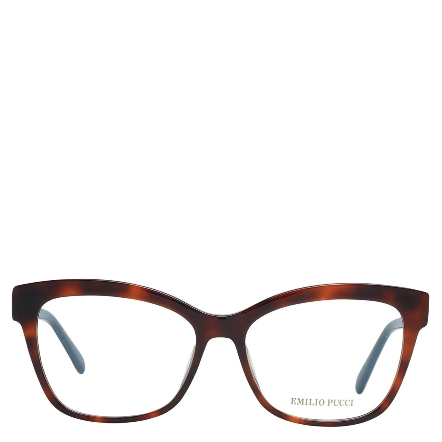 Brown Plastic Glasses (Frames)