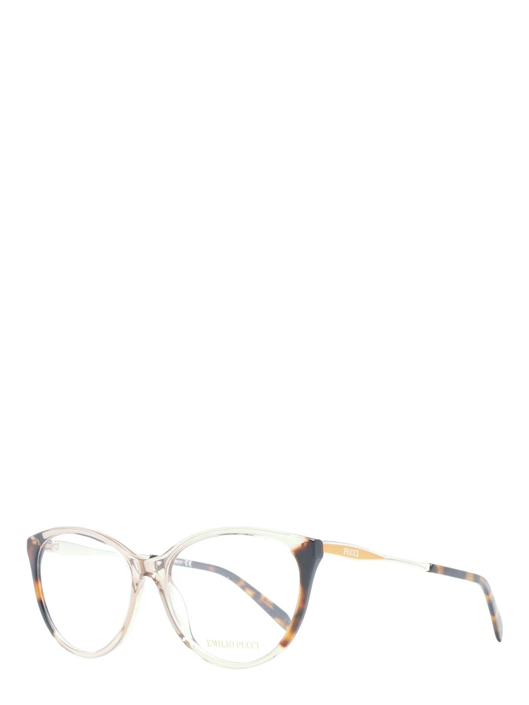 Brown Plastic Glasses (Frames)