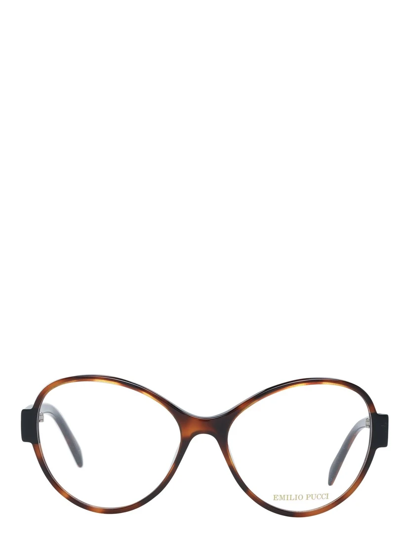Brown Plastic Glasses (Frames)