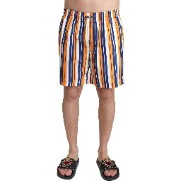 Multicolor Striped Beachwear Swimshorts