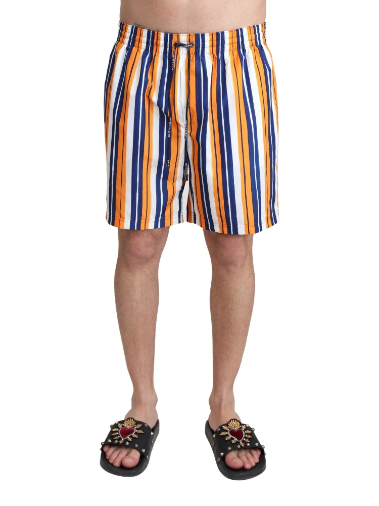 Multicolor Striped Beachwear Swimshorts