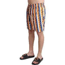 Multicolor Striped Beachwear Swimshorts